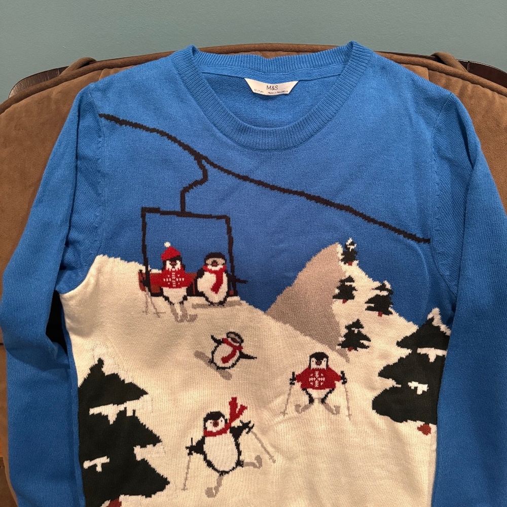 Boys sweater size 12